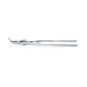Long Nosed Fragment Forcep- Spring Action