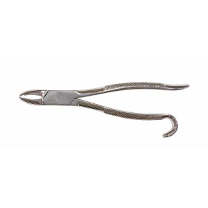 Wolf Tooth Forcep 9 1-2