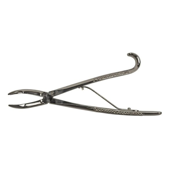 Wolf Tooth Forceps 11"