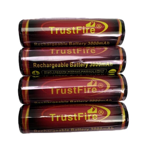 Powerlite 5 Equine rechargeable batteries